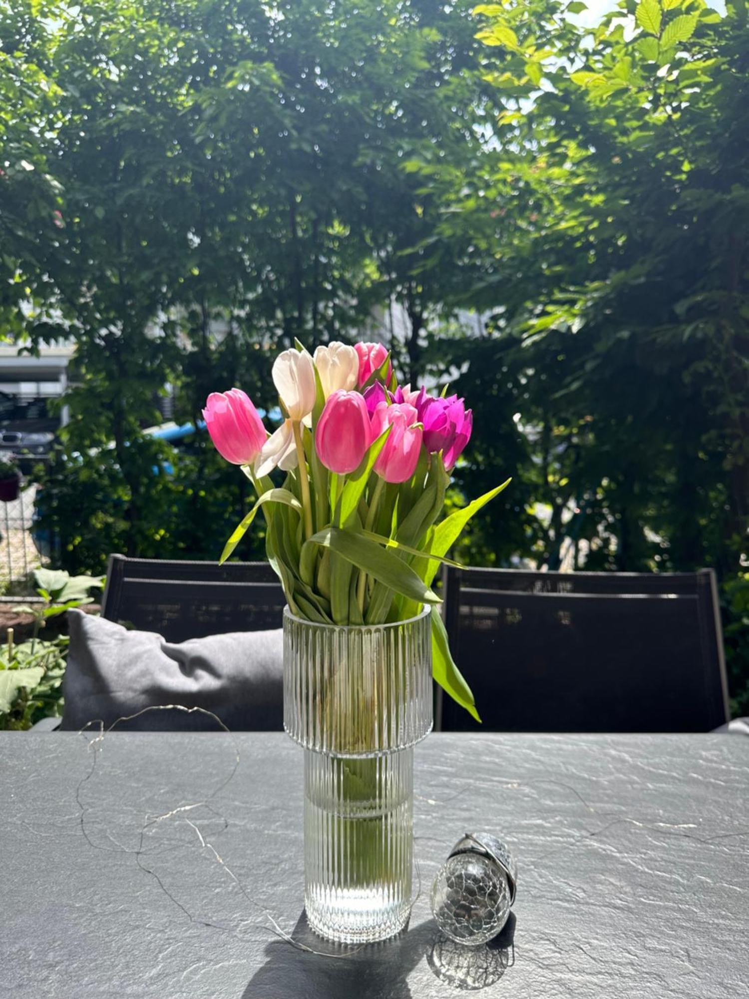 Luxus I Wohnkueche I Garten I Terrasse I Parkplatz Fürth Dış mekan fotoğraf